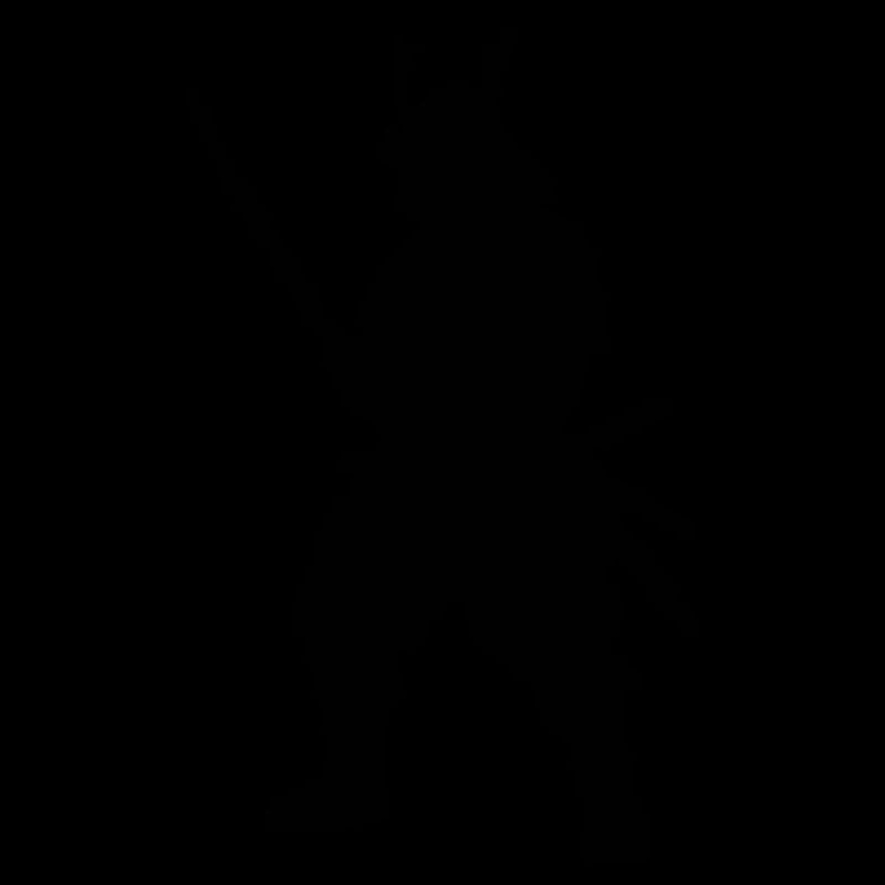 samouraï