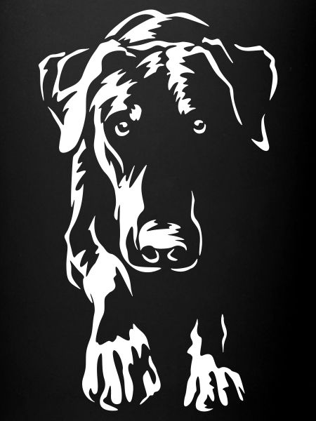 Doberman « Édition Noire »