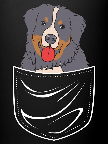 Berner Sennenhund
