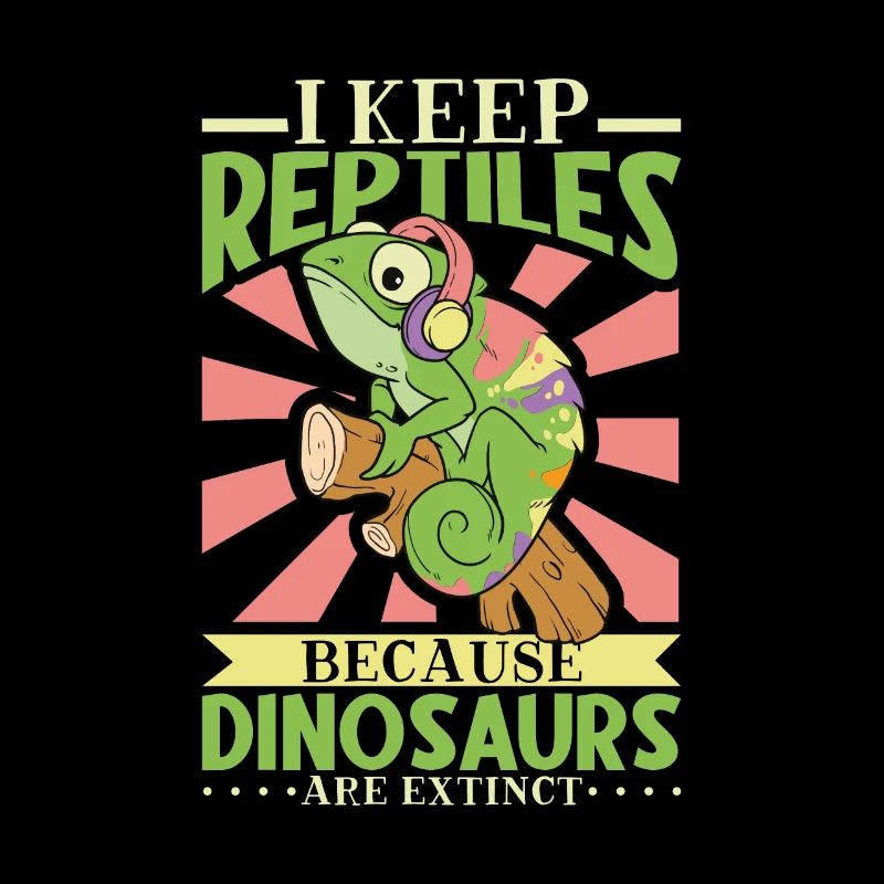 Chameleon Reptile Propriétaire Lizard Reptile Pet