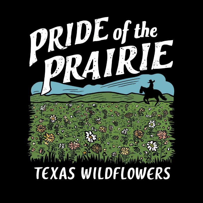 Texas Fleurs sauvages Saison Champs Fleurs Texas