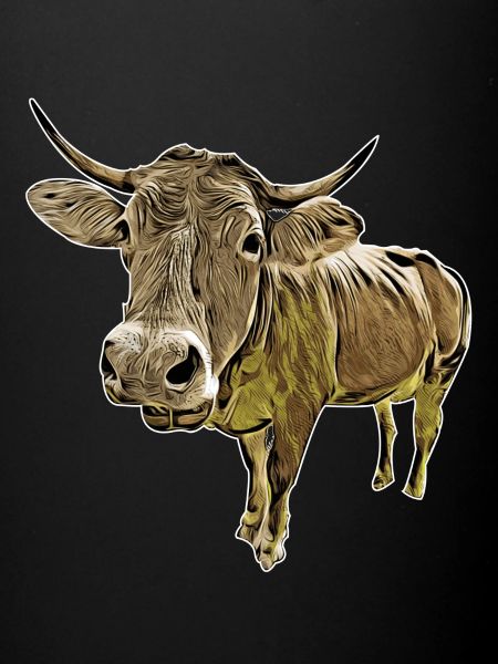 Vache drôle