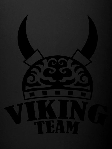 équipe viking 1