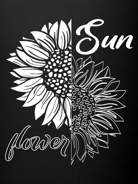 Tournesol, noir blanc