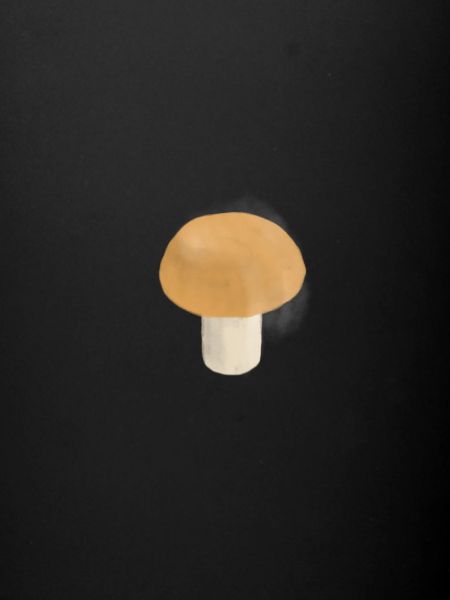 champignon