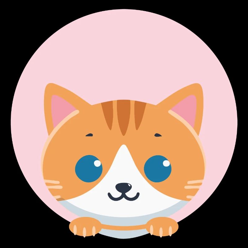 Orange Cat