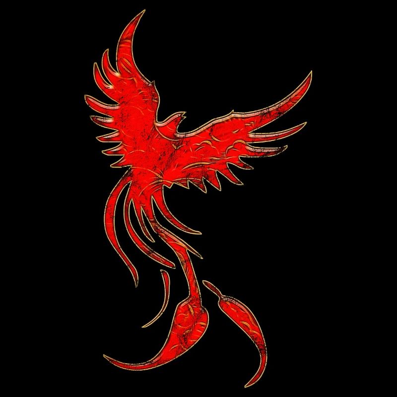 Oiseau de feu Phénix Grunge Danse de feu Jonglage Feu