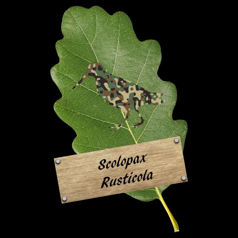 OBV - Scolopax Rusticola # 4 Camo Becasse