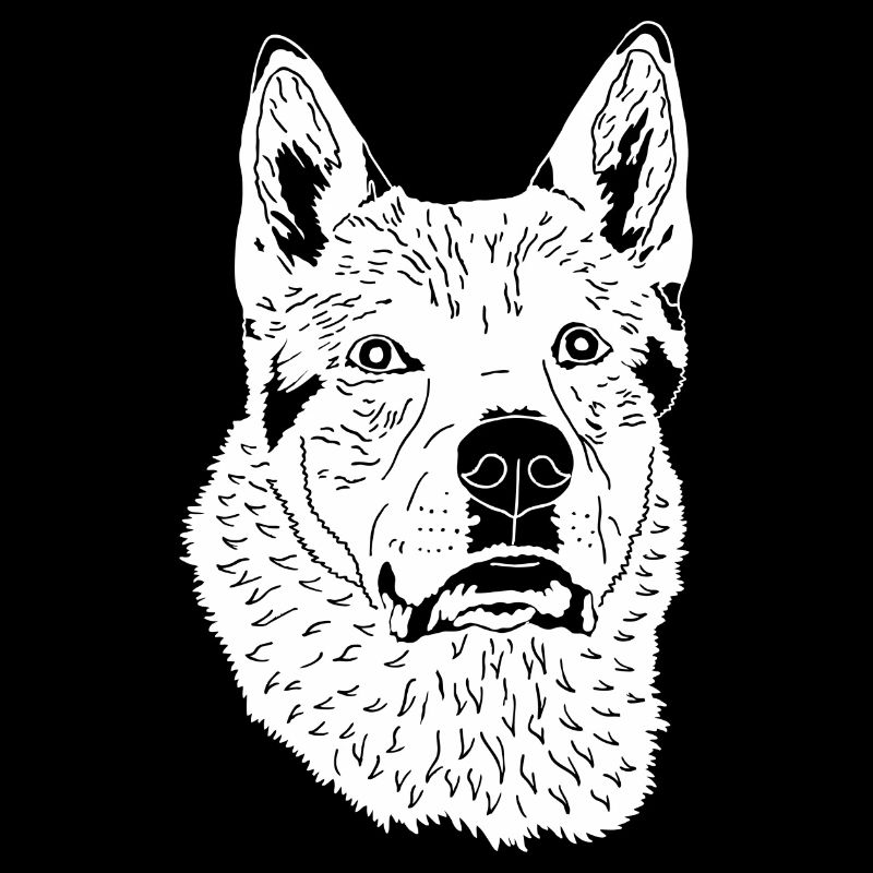 Tschechoslowakischer Wolfhund