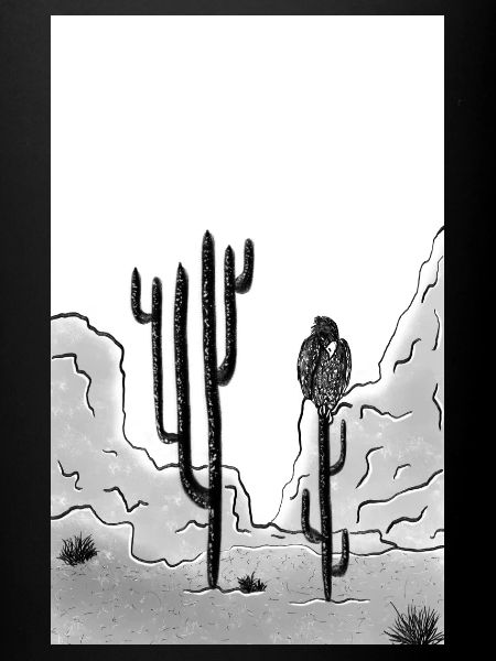 Cactus et vautour