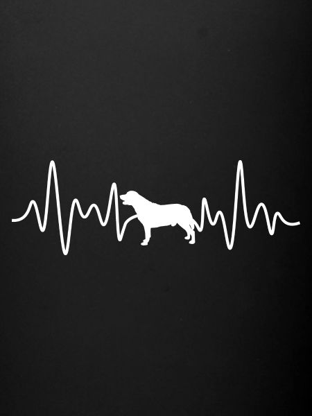 Labrador Heartbeat