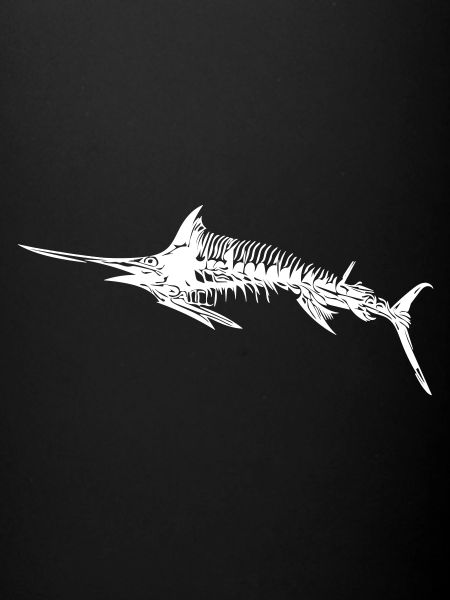 Schwertfisch Skelett
