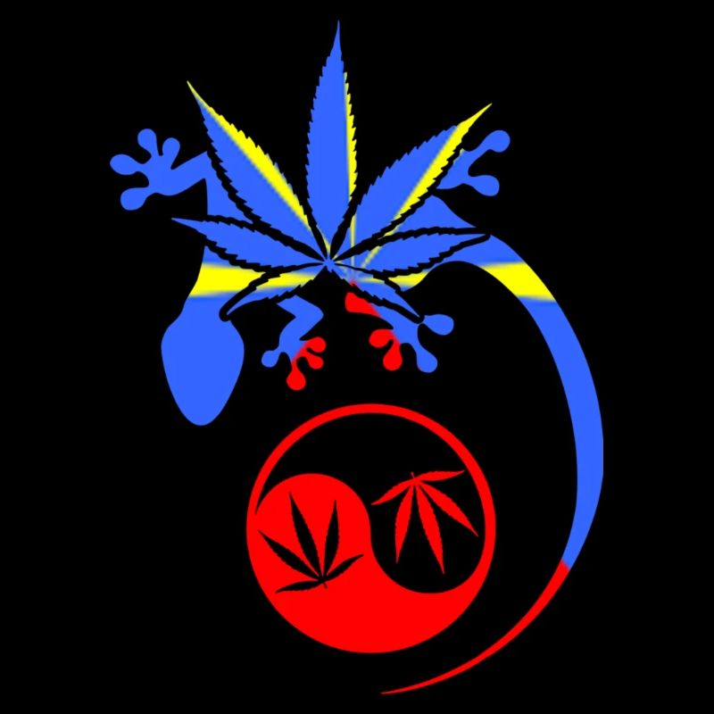 Geko Cana
