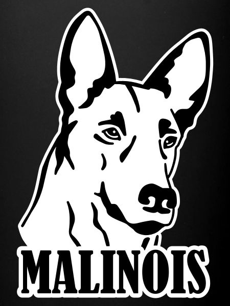 malinois