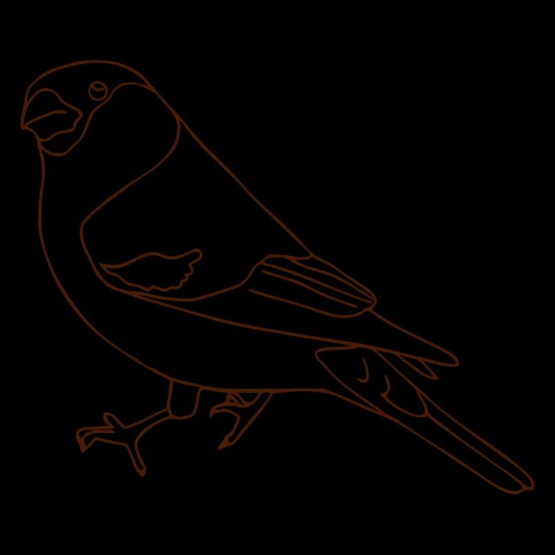 bullfinch