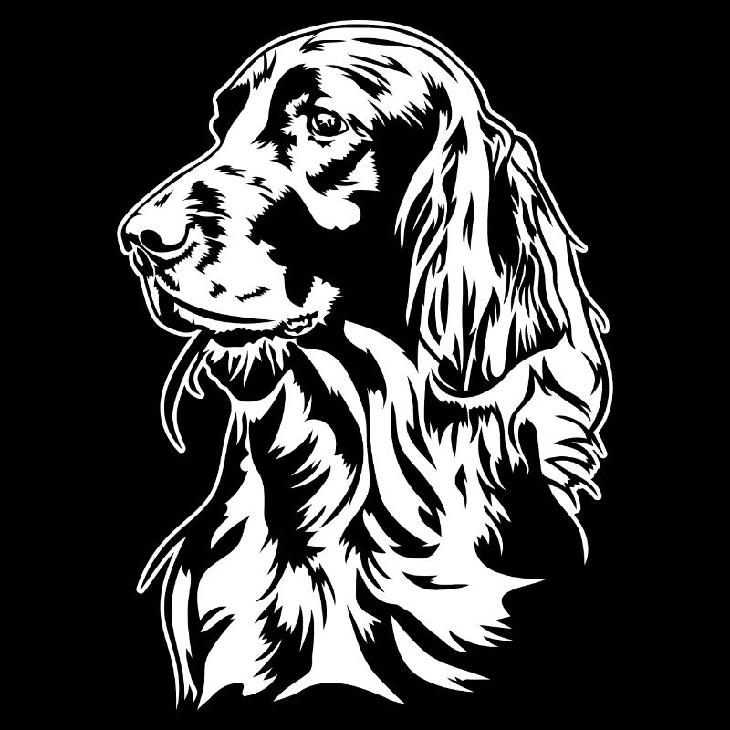 Setter irlandais Chien de chasse Chiens de chasse Chiens Wilsigns