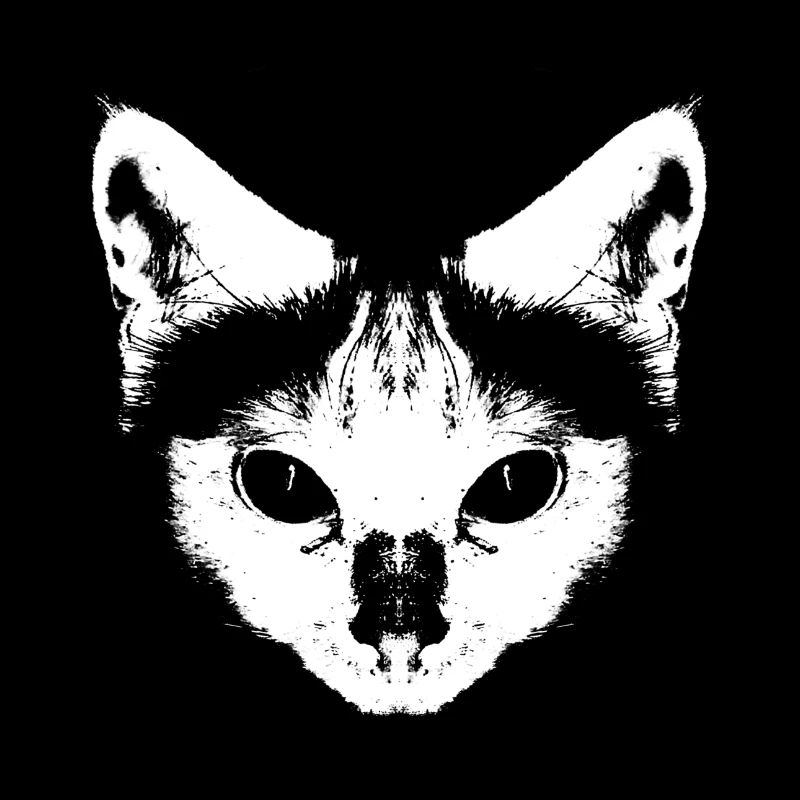 Cat Tattoo Pets Cats Gift