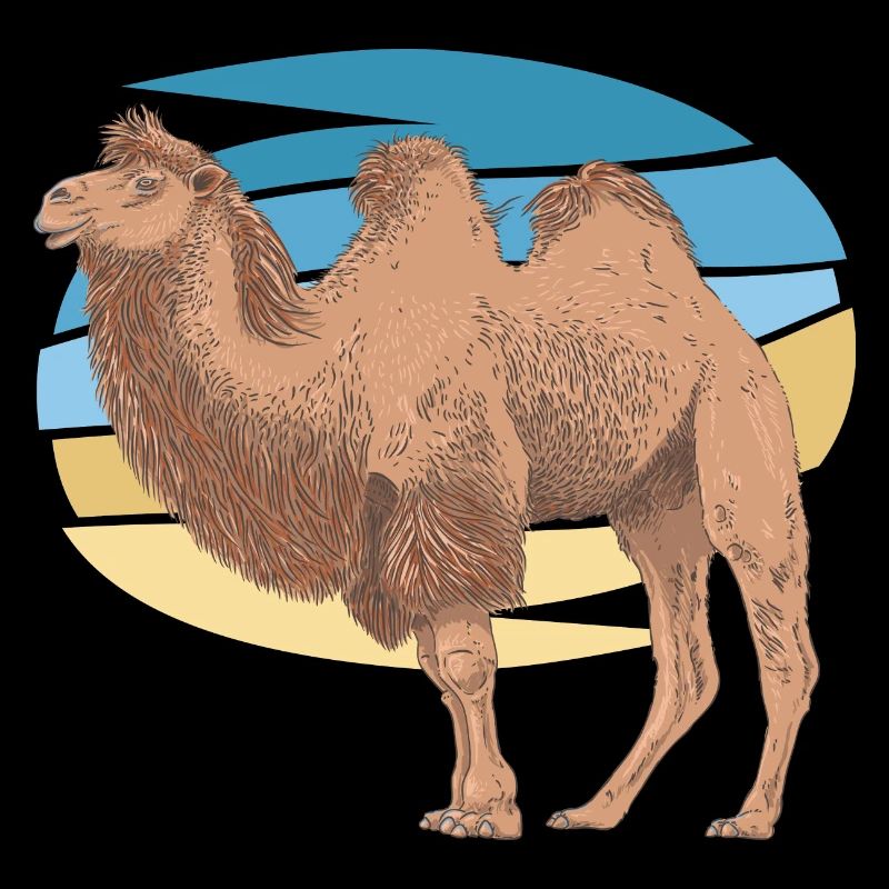 Camel