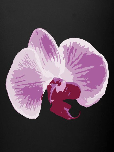 orchidée