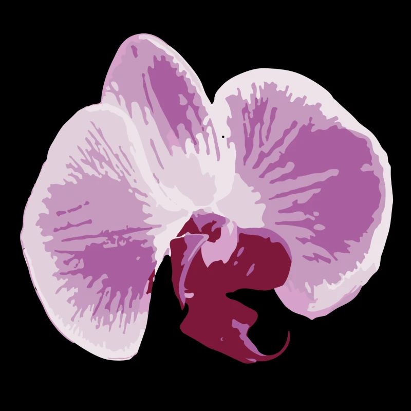 orchidée