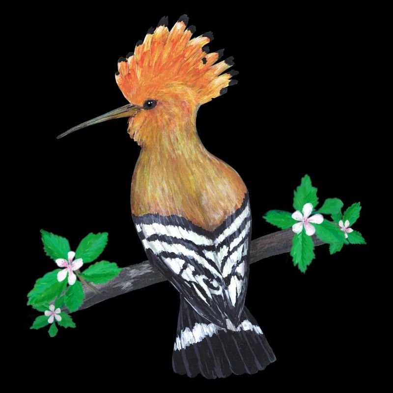 Hop oiseau