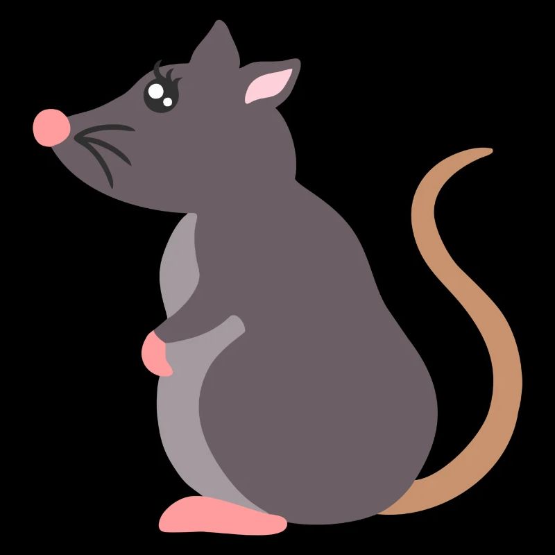 rat