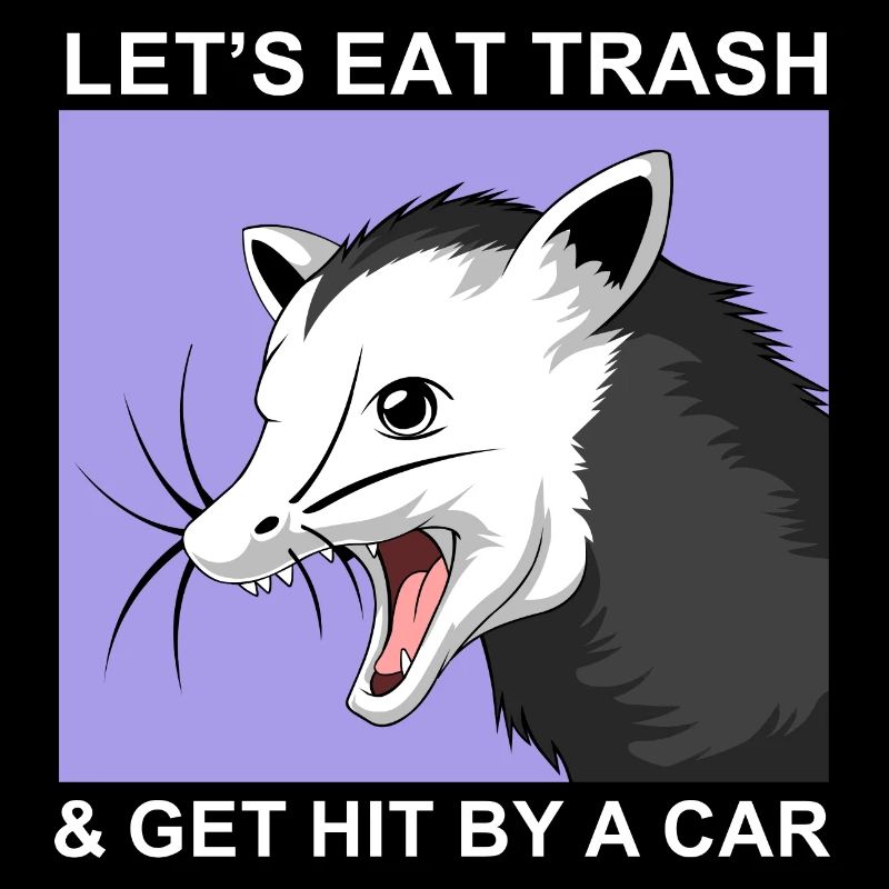 opossum (opossum)