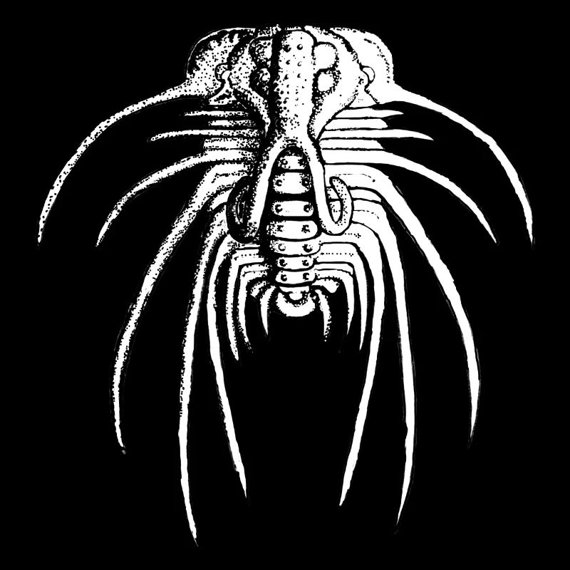 Dicranurus spaguetimontruosus