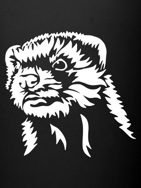 furet