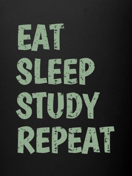 Eat Sleep Study Repeat