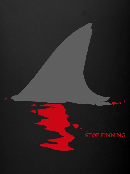 STOP Finning