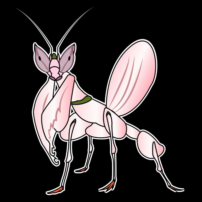 Orchid Mantis CrownIng Scarecrow Praying Mantis