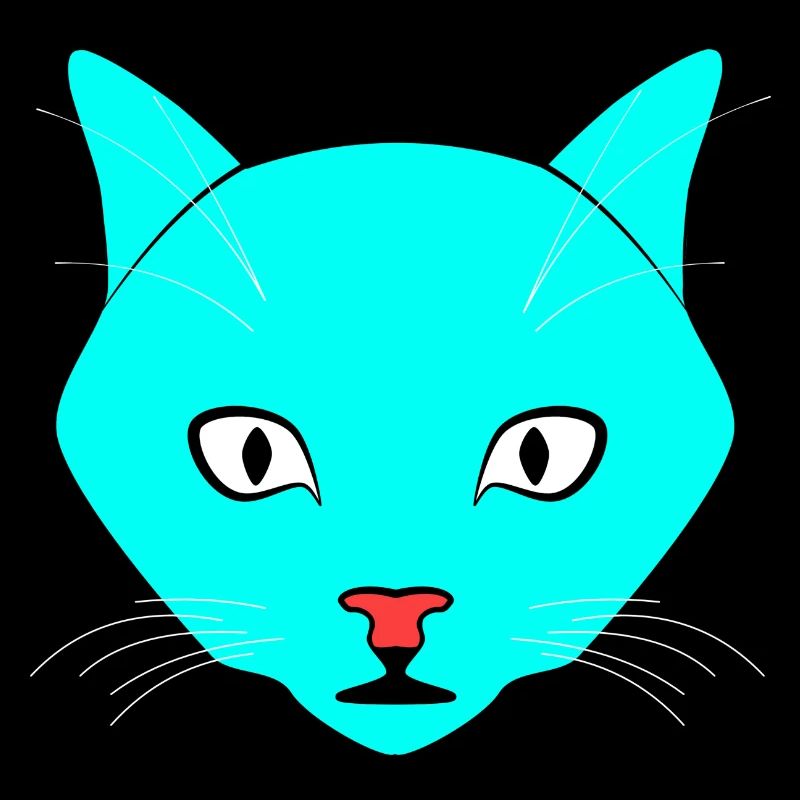 Cat Turquoise