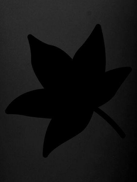 Leaf 31