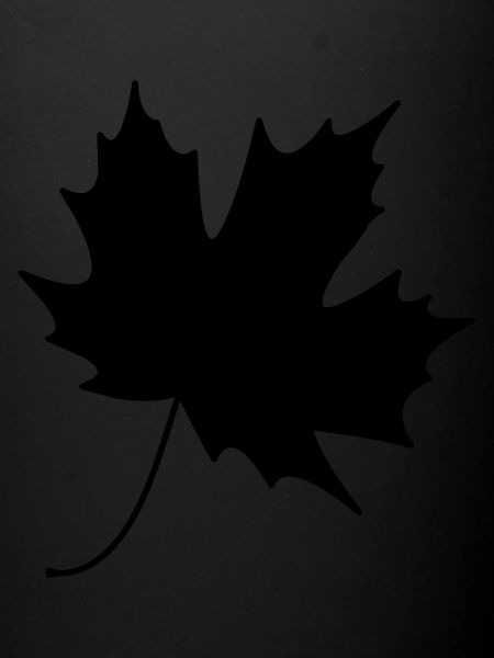 Leaf 35