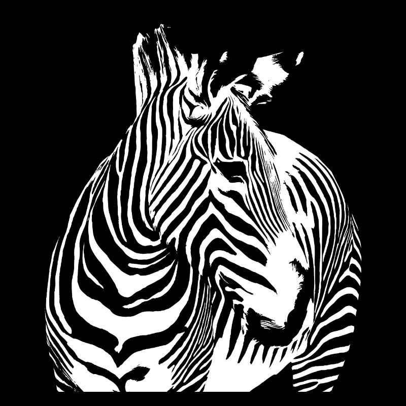 zebre
