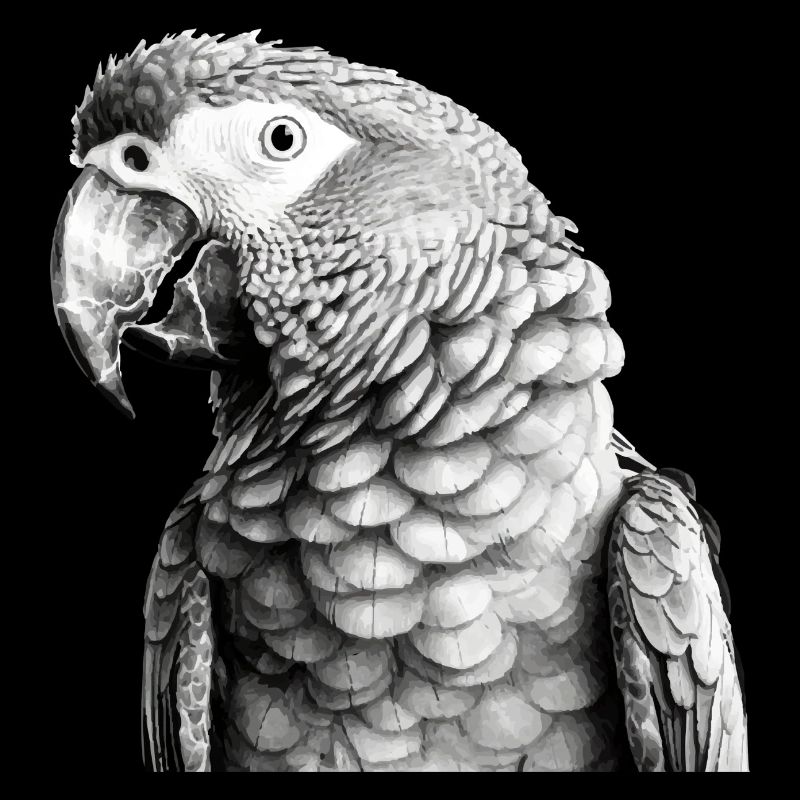 Papagei mit Bleistift