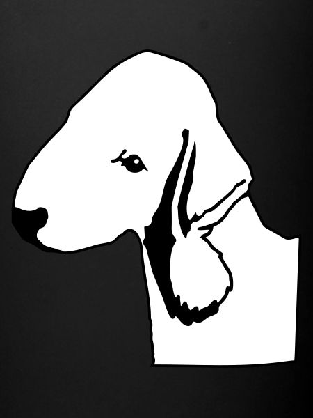 bedlington terrier