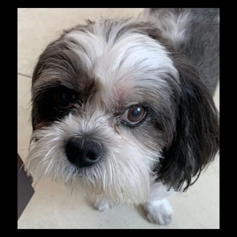 Milo