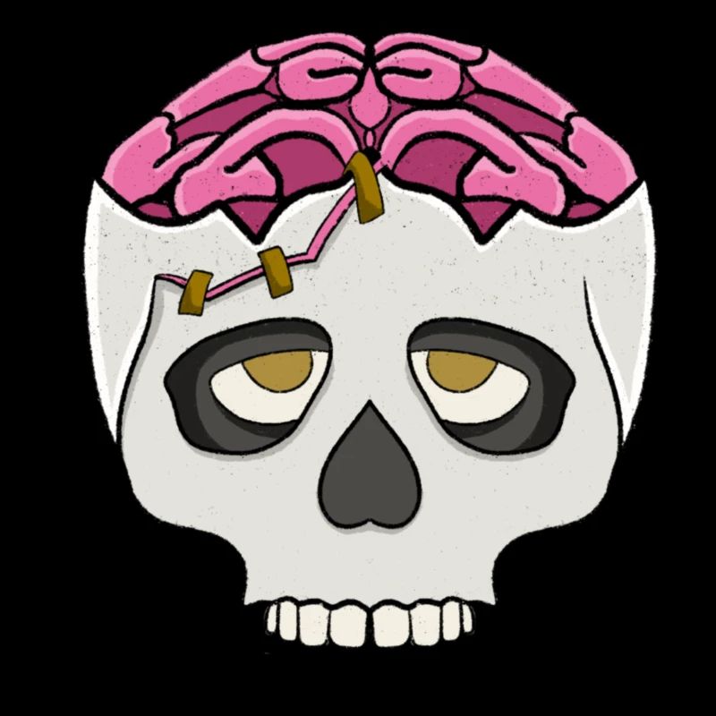 Crâne avec cerveau