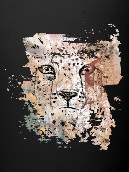 Tête de guépard