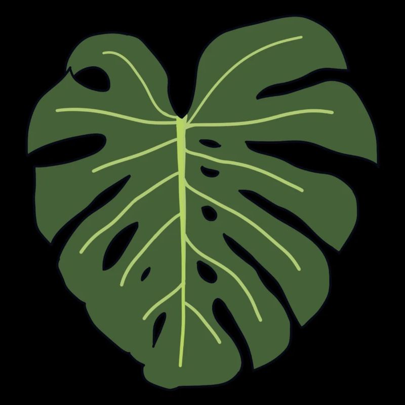 Monstera