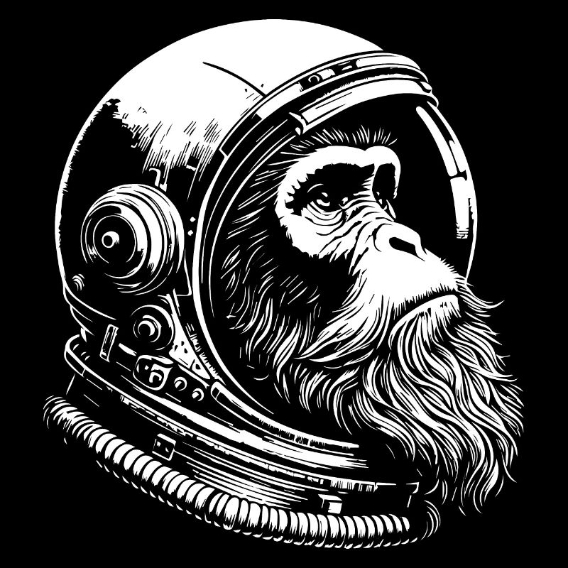 drôle de singe astronaute