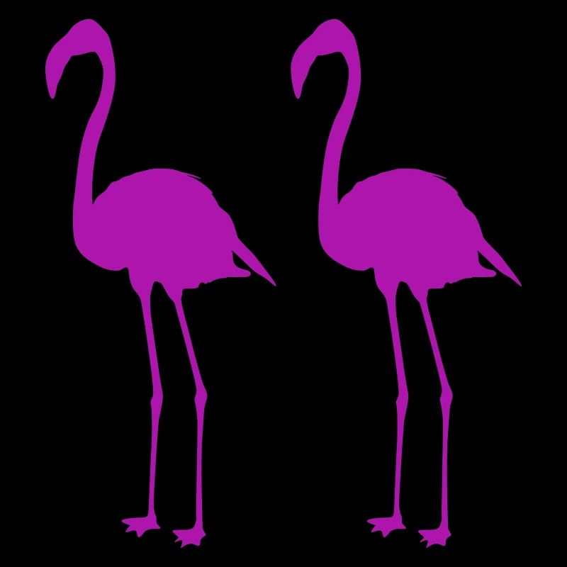 flamingos