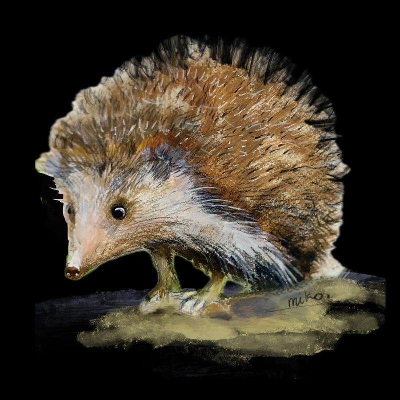 Petit hérisson - Illustration peinte à la main