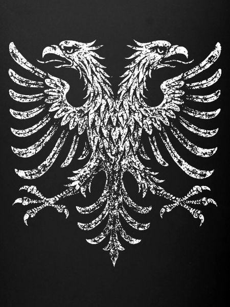 Drapeau albanais