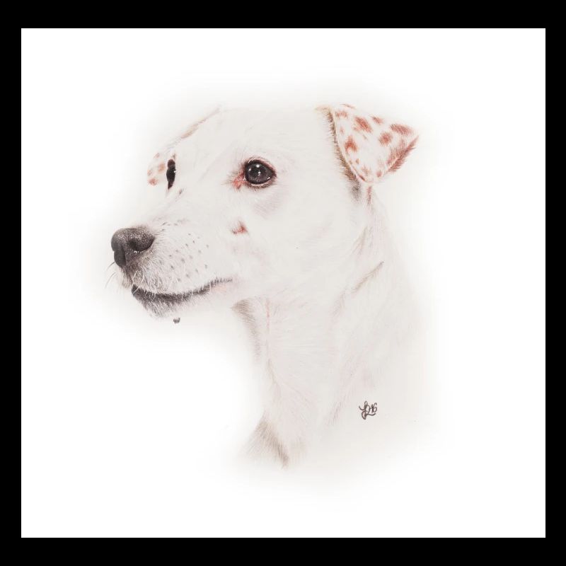 Jack Russell, Whistle