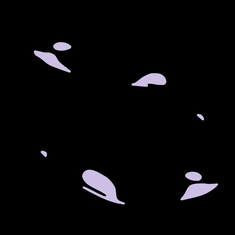 2 Schwertwale
