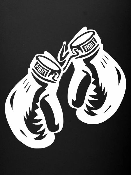 Boxhandschuhe