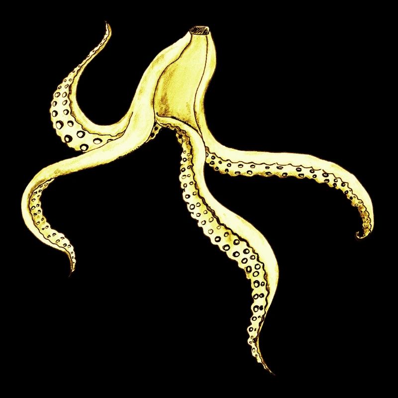 Octopus, banane